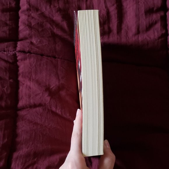 The Virgin's Lover Philippa Gregory paperback book Tudor Plantagenet - Picture 4 of 4